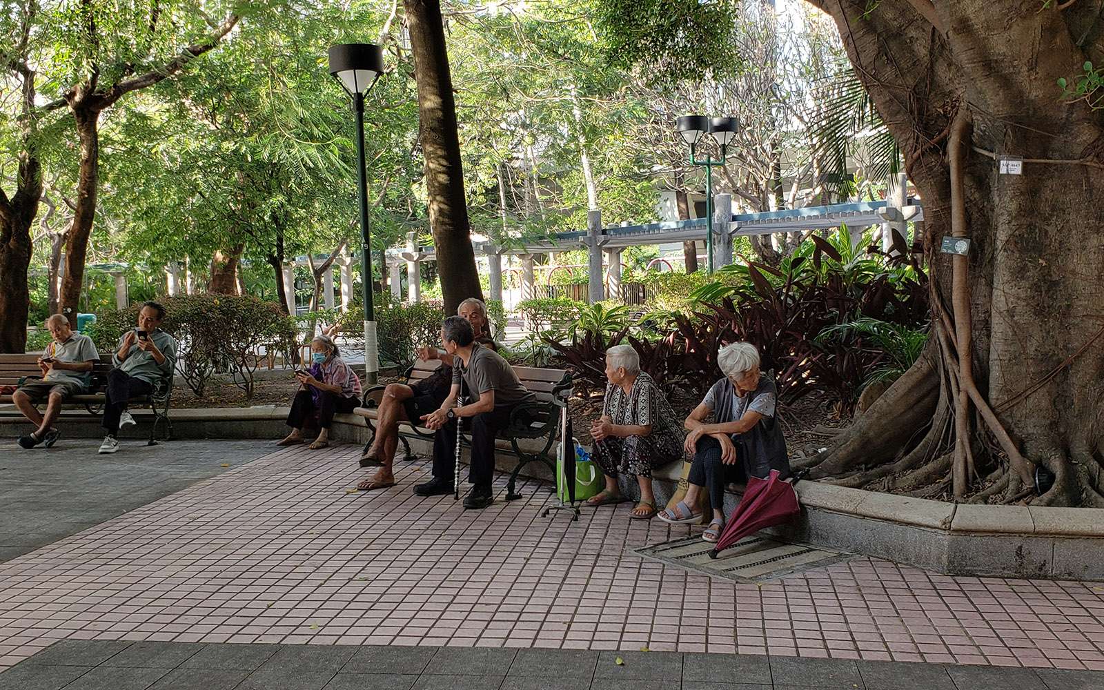 Two elderly women perch on the narrow, sloped edge of a flower bed 兩名婆婆倚坐在又窄又斜的花槽邊