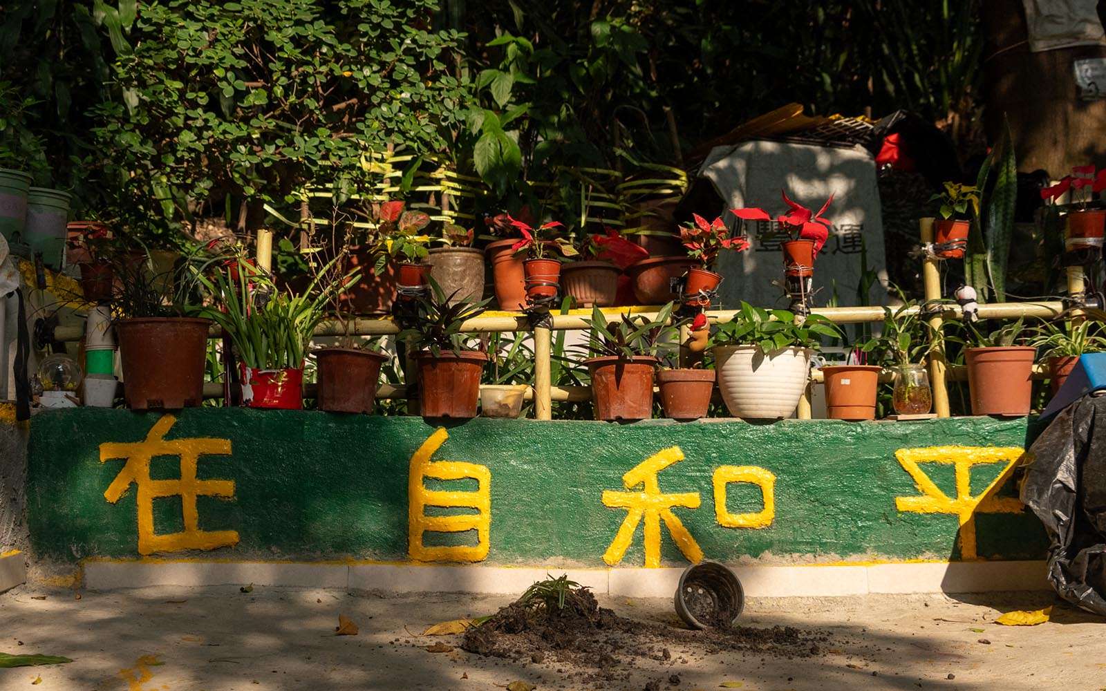 A flower bed built and maintained by Bishop Hill community members 一座由主教山社區街坊自發修建和打理的花圃