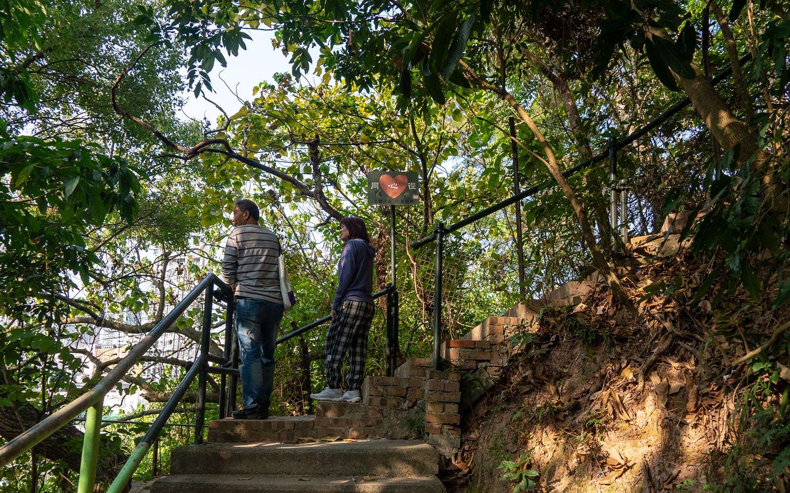 The “Path of Togetherness”, a brick stairway built and maintained by Mr. So’s volunteers. 「同心徑」——由蘇先生的義工們修建和打理的磚砌樓梯