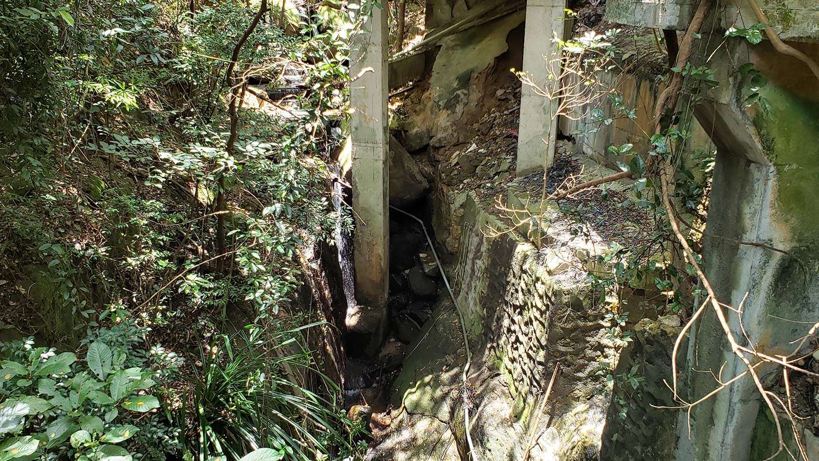 Wong Nai Chung stream just before it disappears underground. 即將流入地底前的一段黃泥涌溪流。