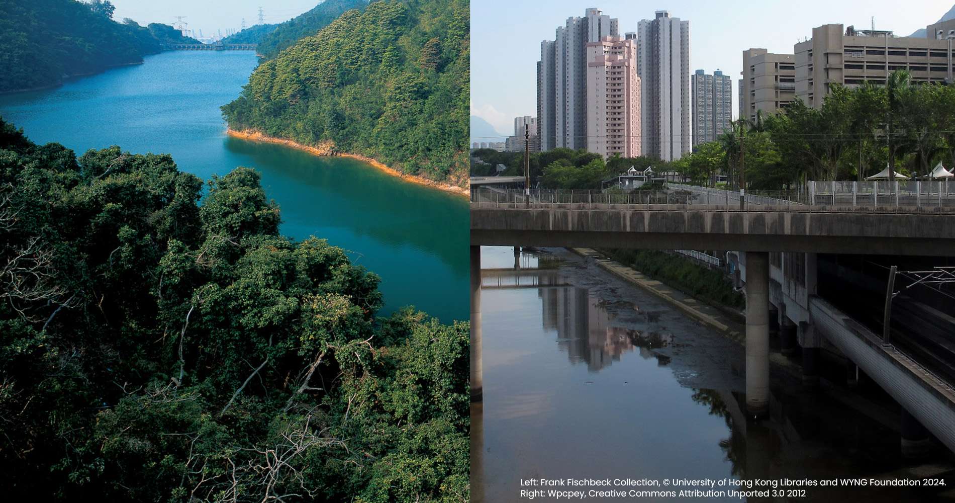 Hong Kong rivers 香港河流