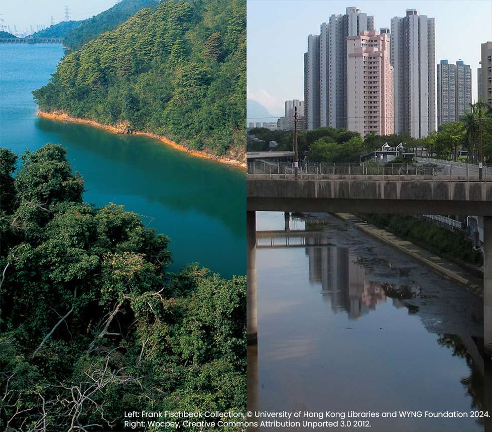 香港失落的河溪（二）：消失於眼前的河流