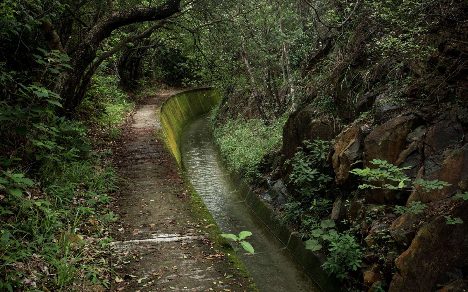 Stanley Mound East Catchwater, first built in the 1920s, directs water towards the Tai Tam Tuk Reservoir. Photo credit: Teddy Ng, 2024. 始建於1920年代的赤柱東引水道，將水源輸送到大潭篤水塘。圖片來源：Teddy Ng， 2024年。