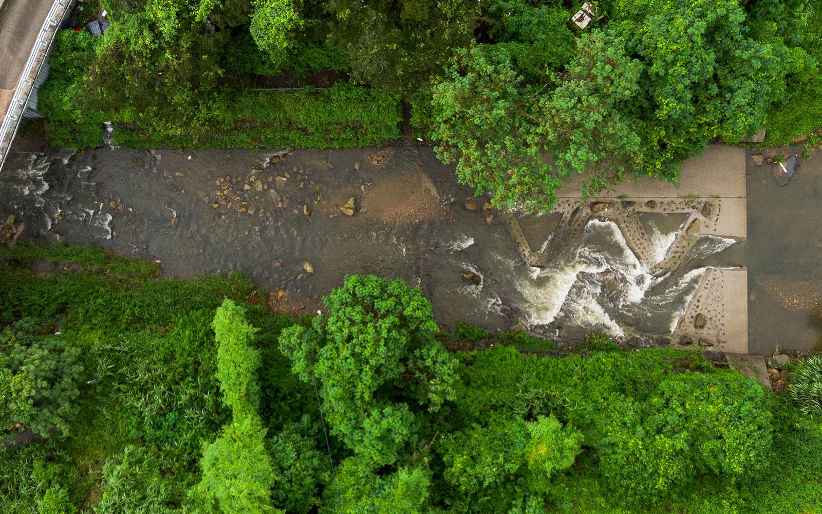 40m long zig-zag fish ladder built by DSD at the Upper Lam Tsuen River from 2007-12 as part of a stream revitalization pilot project. Photo credit: Joshua Wolper, 2024. 2007-2012年間，渠務署在林村河上游修建40米長「之」字形魚梯，作為活化溪流試驗計劃的一部分。攝影：Joshua Wolper，2024年。