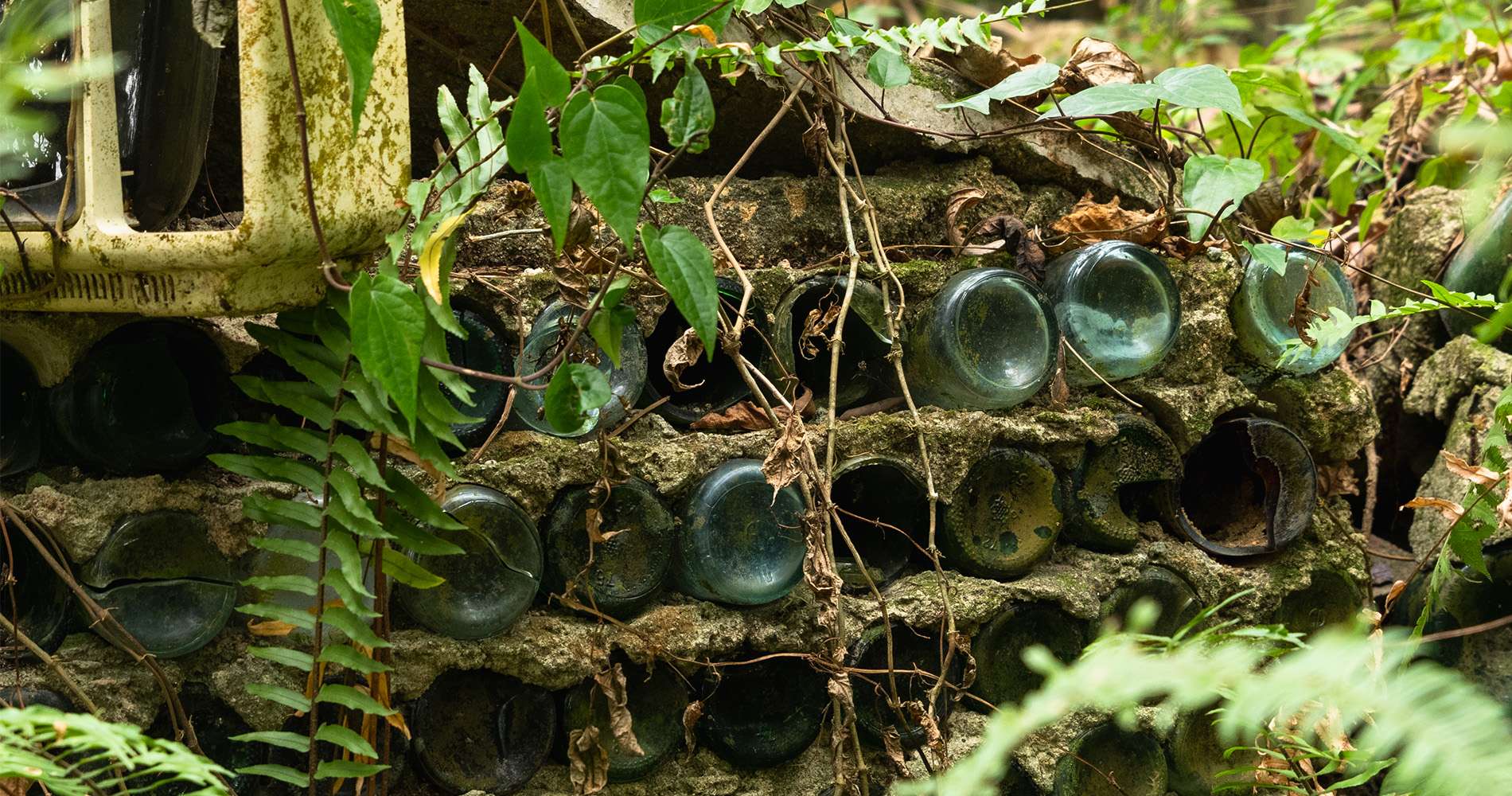 Ruins of the Tai Hang squatter areas 大坑木屋區遺址