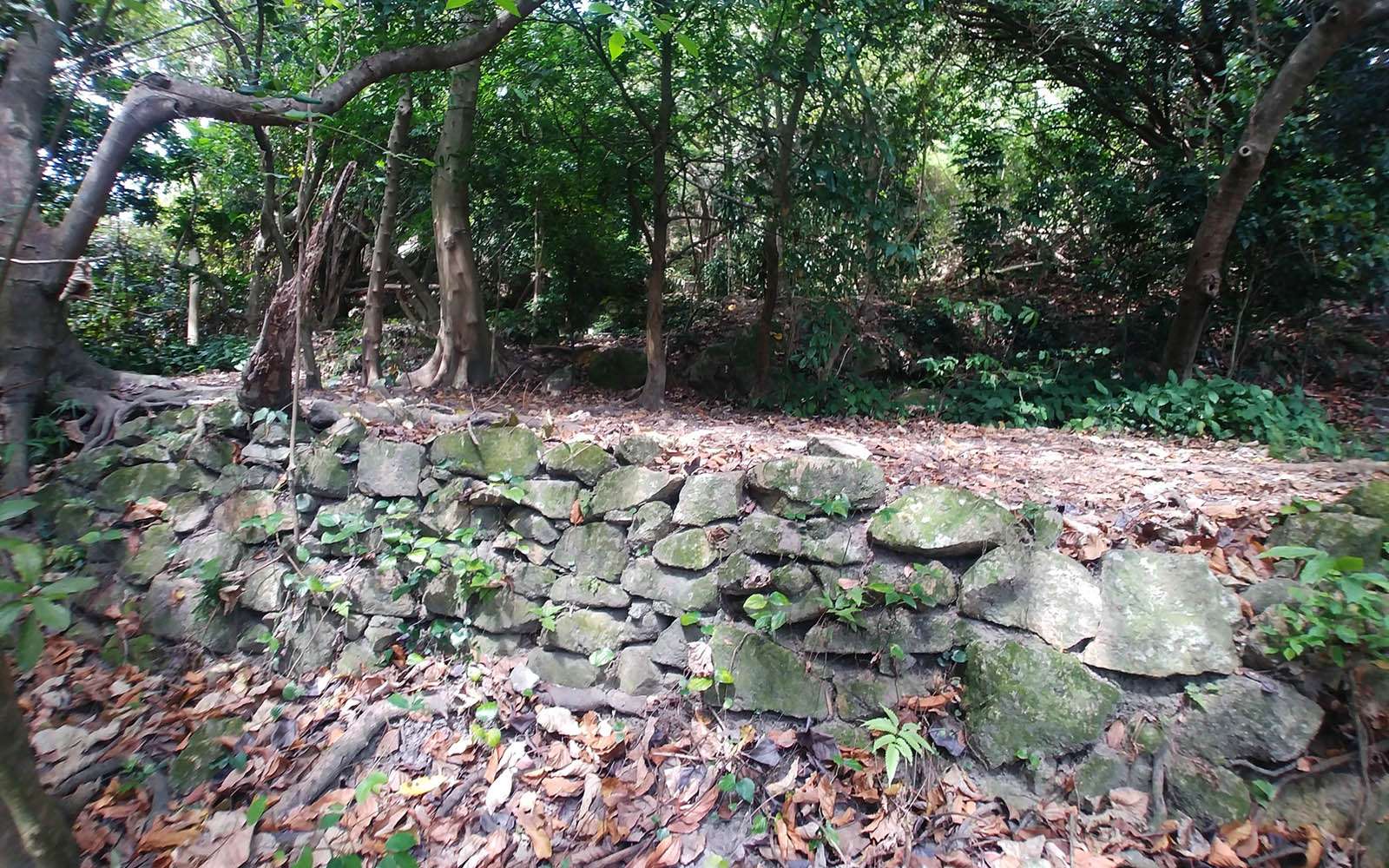 Stone retaining wall at Ma Shan 馬山一帶的石砌護土牆