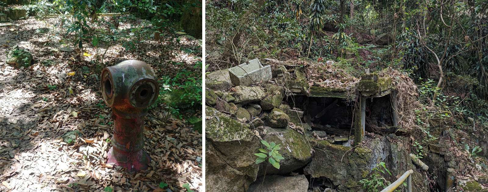 Squatter village ruins above Lai Tak Tsuen in Tai Hang (1) 大坑勵德邨山上的寮屋區遺址之一